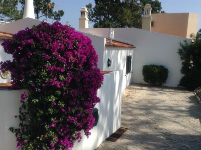 Casa Nicho Villa Vale do Lobo Exteriör bild